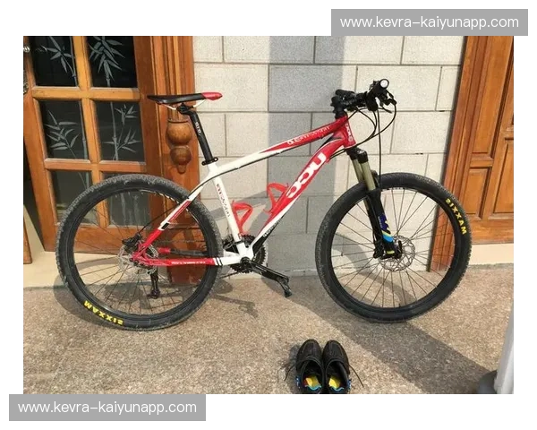 自行车排名：挑对一辆，开启更精彩的骑行人生